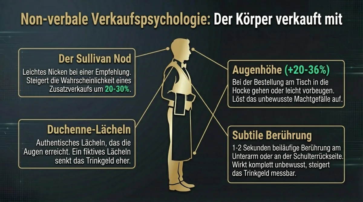 Körpersprache Trinkgeld Restaurant: Sullivan Nod plus 20-30%, Augenhöhe plus 20-36%, Duchenne-Lächeln und subtile Berührung als non-verbale Verkaufspsychologie