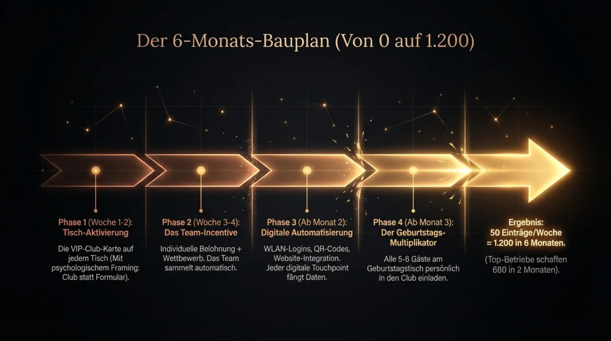 Der 6-Monats-Bauplan für die Gästedatenbank: Phase 1 VIP-Club-Karte, Phase 2 Team-Incentive, Phase 3 digitale Automatisierung, Phase 4 Geburtstags-Multiplikator